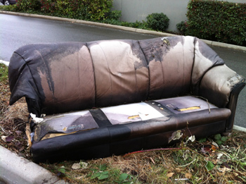 rotten junk couch for removal