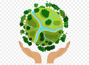 sustainability in Vancouver BC